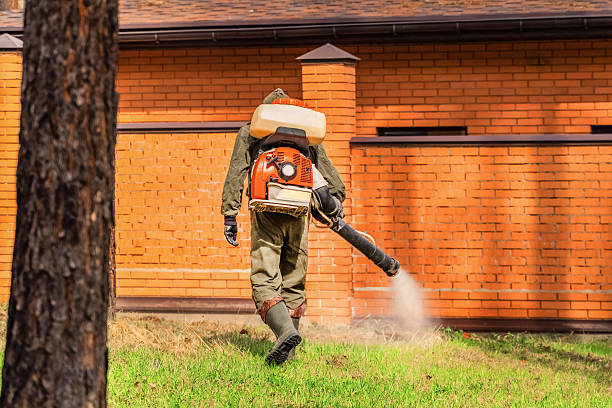 Trusted Bed Bug Control service in Wailea, HI - Nex Pest Control